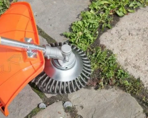 Konec plevele v dlažbě