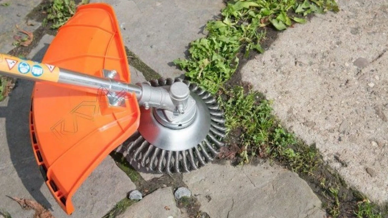 Konec plevele v dlažbě